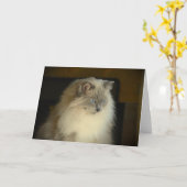 Trage dagen, kaart (Gele Bloem)