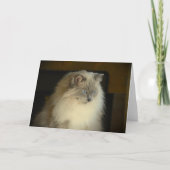 Trage dagen, kaart (Voorkant)