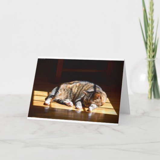 Trage dagen, kaart (Voorkant)