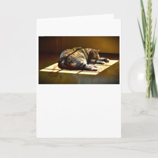 Trage dagen, kaart (Voorkant)