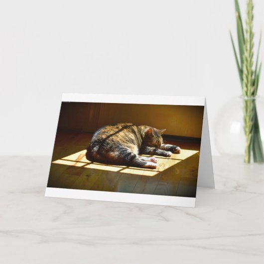 Trage dagen, kaart (Voorkant)