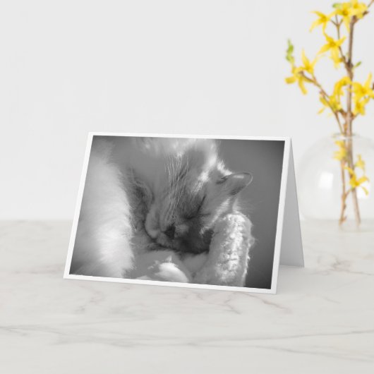 Trage dagen, kaart (Gele Bloem)