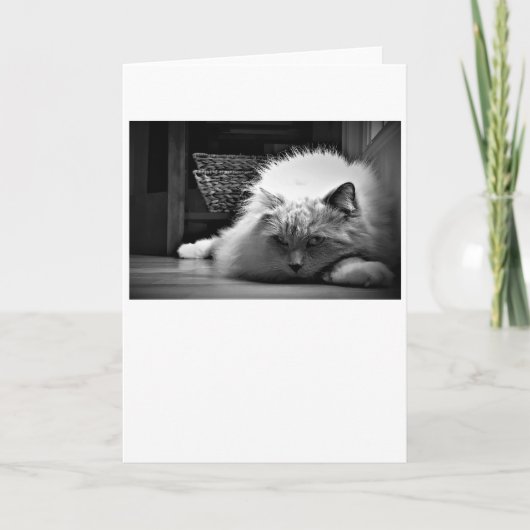 Trage dagen, kaart (Voorkant)