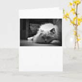 Trage dagen, kaart (Gele Bloem)