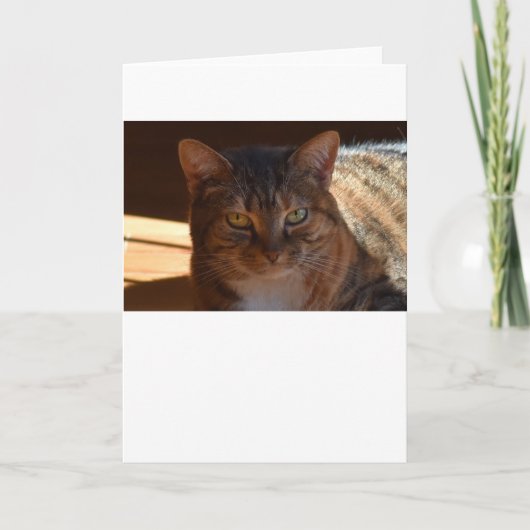 Trage dagen, kaart (Voorkant)