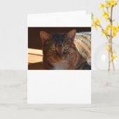 Trage dagen, kaart (Gele Bloem)