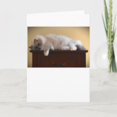 Trage dagen, kaart (Voorkant)