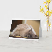 Trage dagen, kaart (Gele Bloem)