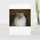 Trage dagen, kaart (Voorkant)