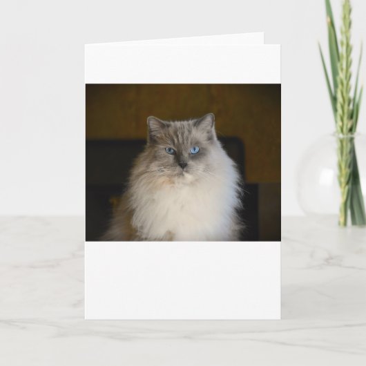 Trage dagen, kaart (Voorkant)