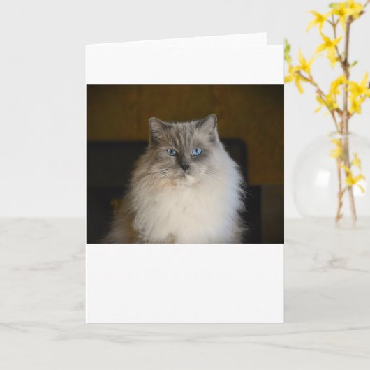 Trage dagen, kaart (Gele Bloem)