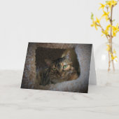 Trage dagen, kaart (Gele Bloem)