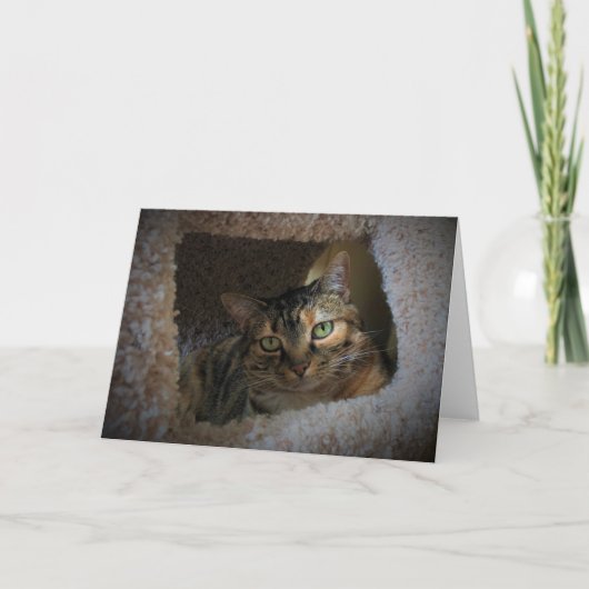 Trage dagen, kaart (Voorkant)