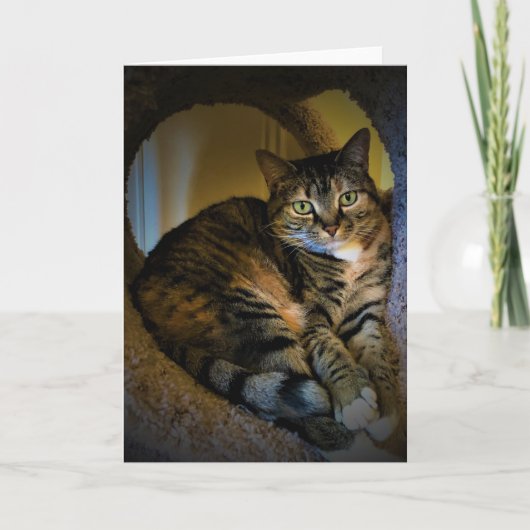 Trage dagen, kaart (Voorkant)