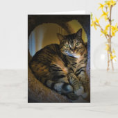 Trage dagen, kaart (Gele Bloem)