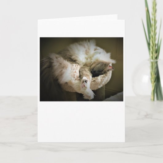 Trage dagen, kaart (Voorkant)