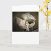 Trage dagen, kaart (Gele Bloem)