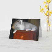 Trage dagen, kaart (Gele Bloem)