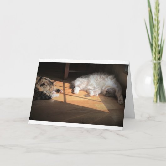 Trage dagen, kaart (Voorkant)