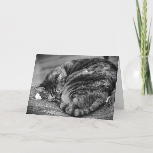 Trage dagen, kaart (Voorkant)