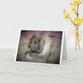 Trage dagen, kaart (Gele Bloem)