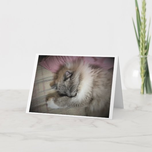 Trage dagen, kaart (Voorkant)