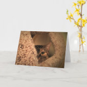 Trage dagen, kaart (Gele Bloem)