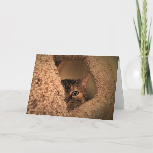 Trage dagen, kaart (Voorkant)