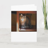 Trage dagen, kaart (Voorkant)