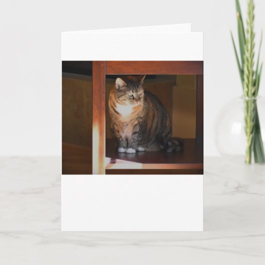 Trage dagen, kaart (Voorkant)