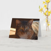 Trage dagen, kaart (Gele Bloem)