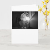 Trage dagen, kaart (Gele Bloem)