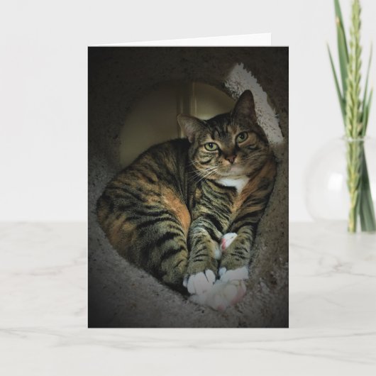 Trage dagen, kaart (Voorkant)