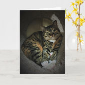 Trage dagen, kaart (Gele Bloem)