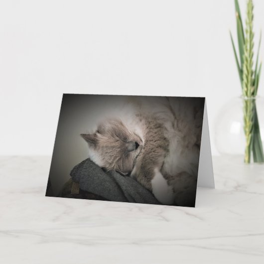 Trage dagen, kaart (Voorkant)