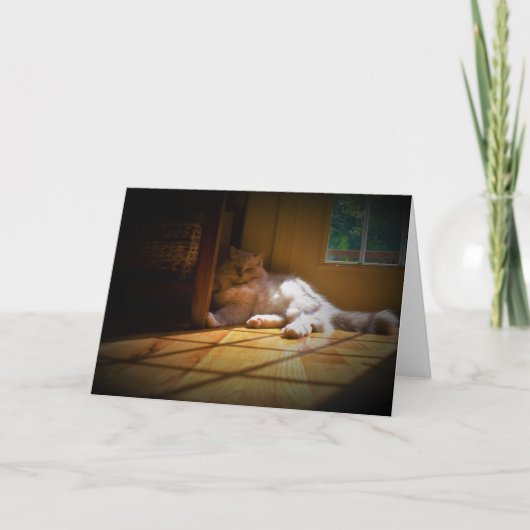 Trage dagen, kaart (Voorkant)