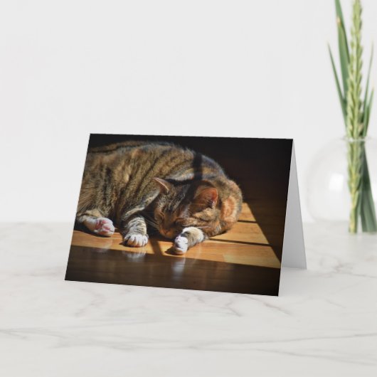 Trage dagen, kaart (Voorkant)