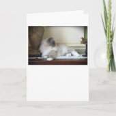 Trage dagen, kaart (Voorkant)