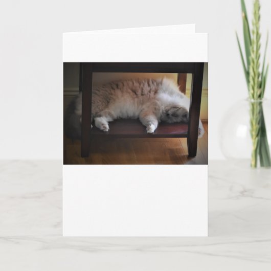 Trage dagen, kaart (Voorkant)