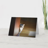 Trage dagen, kaart (Voorkant)