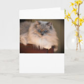 Trage dagen, kaart (Gele Bloem)