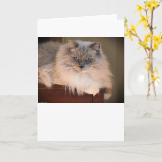 Trage dagen, kaart (Gele Bloem)