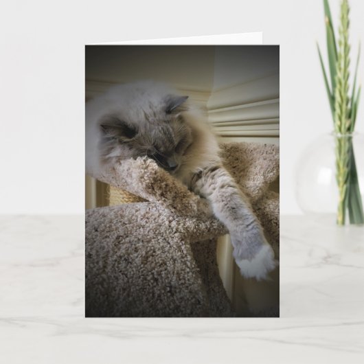 Trage dagen, kaart (Voorkant)