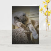 Trage dagen, kaart (Gele Bloem)