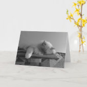 Trage dagen, kaart (Gele Bloem)