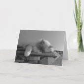 Trage dagen, kaart (Voorkant)