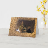 Trage dagen, kaart (Gele Bloem)