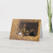 Trage dagen, kaart (Voorkant)