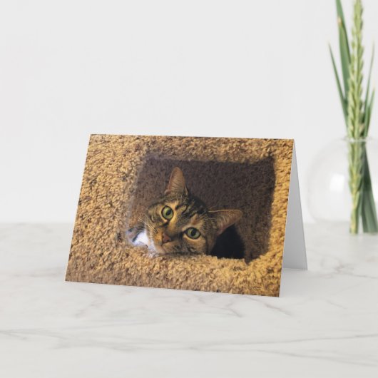 Trage dagen, kaart (Voorkant)