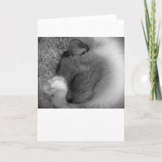 Trage dagen, kaart (Voorkant)